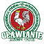 Olawa U17