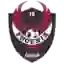 FC Phoenix Leipzig