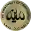 Lyallpur FC