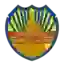 Интер Сан Мигель