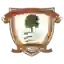 Эшфорд Таун