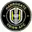 Harrogate Town Ladies AFC