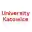 Университет Катовице