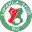 Sapanca Genclikspor