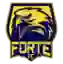 Forte FC ES