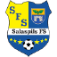 Salaspils