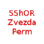 SShOR Zvezda Perm U17