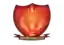 Янг Бойз Дели