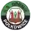 Gornik Polkowice