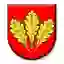 MFK Nova Dubnica