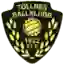 ФК Толлнес