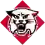 Davidson Wildcats