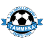 Tammeka Tartu IV