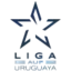 Чемпионат Уругвая