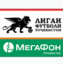Чемпионат Таджикистана