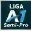Liga A1