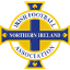 Чемпионат Северной Ирландии. Резервная лига до 20 лет