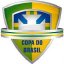 Кубок Бразилии до 19 лет