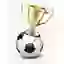 South Cup