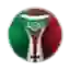 Super Cup