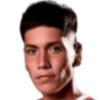 Barreiro Ariel