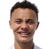 Vinicius Rocha