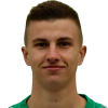 Cizek Давид