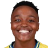 Zondi Sinegugu