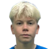 Valkealahti Viljami