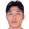 Лю Qiwei