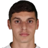 Obradovic Stefan
