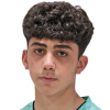 Gishyan Нубар
