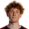 Карлтон Алан