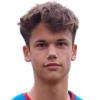 Krivanek Jan