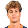 Vidal-Cartoux Давид