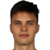 Недзведзь Natan