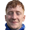 Hjelm Teit