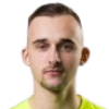 Filipavicius R.