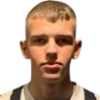 Gunnarsson R.