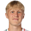 Топінка Stanislav