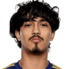 Rivera Luis