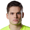 Malzinskas D.