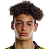 Rodriguez Pedro