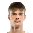 Skaricic L.