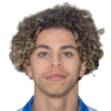 Райцигер Gabriel