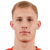 Лауш Tino Blaz