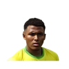 Fuentes Mendoza Yeison David