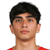 Karapetyan Vardan