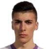 Disic Nikola