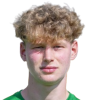 Гавран Marek